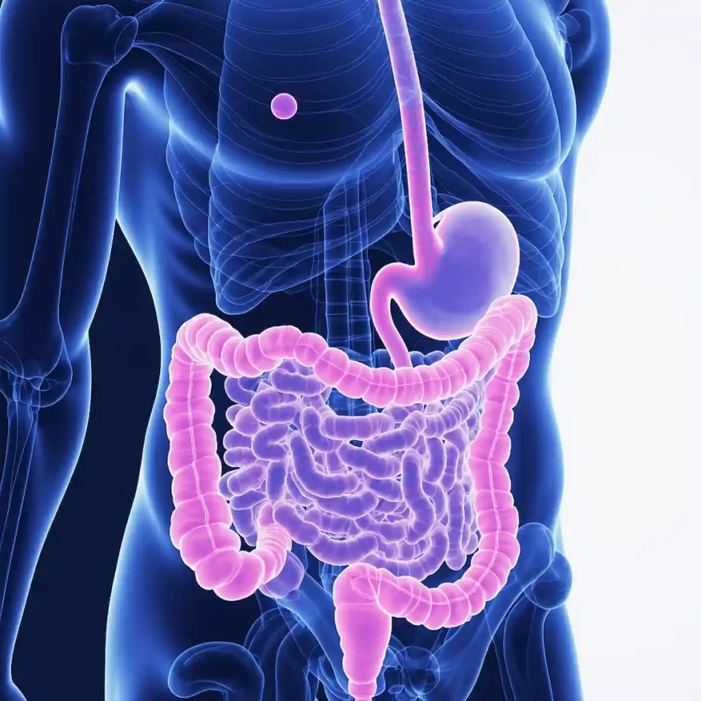 Digestive system response to saltwater flush