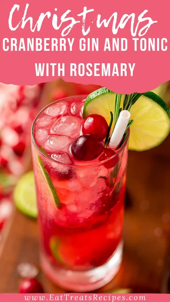 Christmas cranberry gin and tonic with rosemary and lime