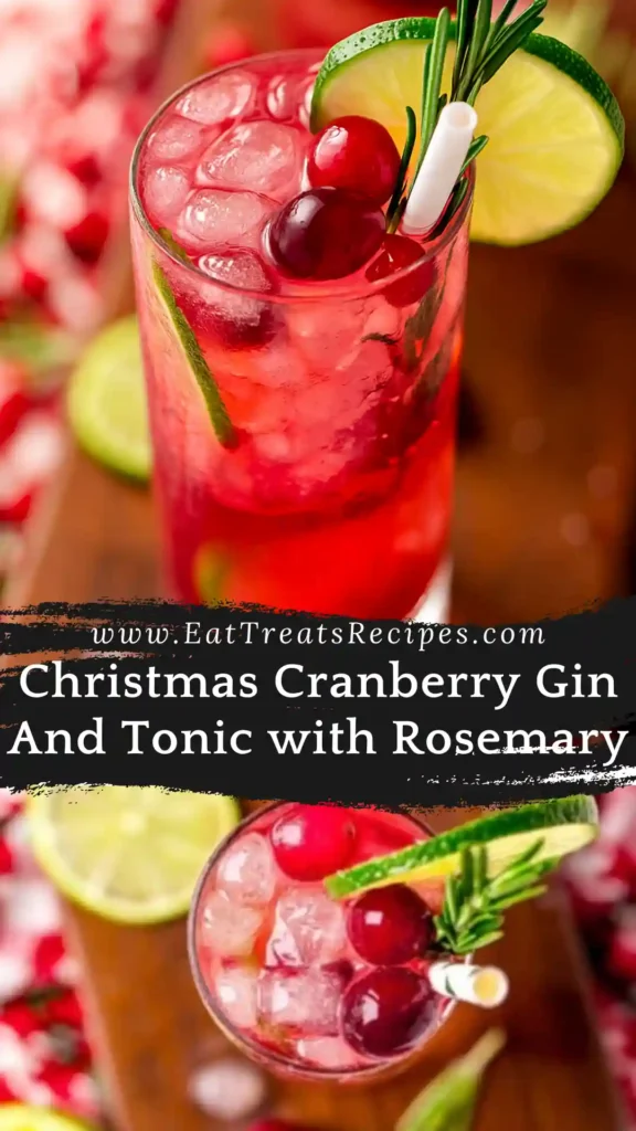 Christmas cranberry gin and tonic with rosemary and lime