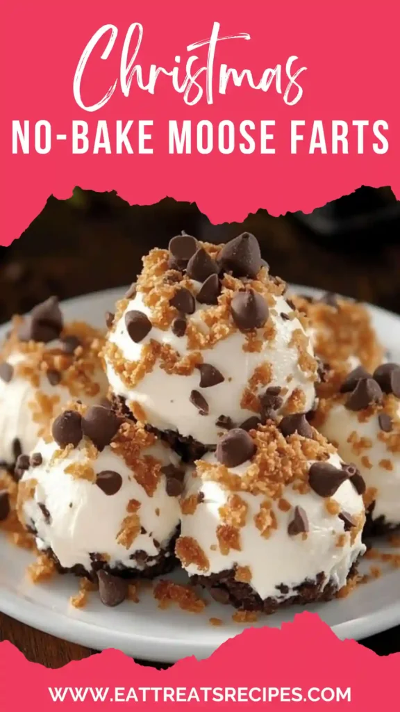 Christmas no-bake chocolate coconut balls