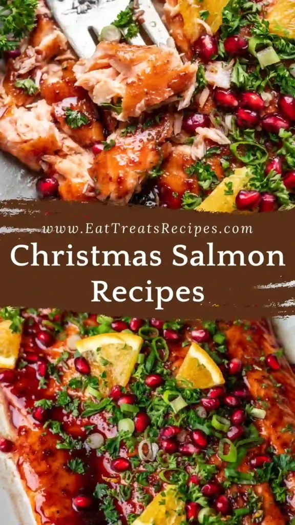 Christmas salmon with pomegranate glaze on white marble