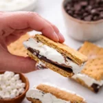 Protein Frozen S’mores layered with Greek yogurt and chocolate
