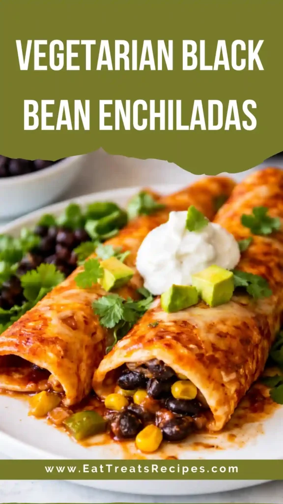 Vegetarian black bean enchiladas with melted cheese and red sauce