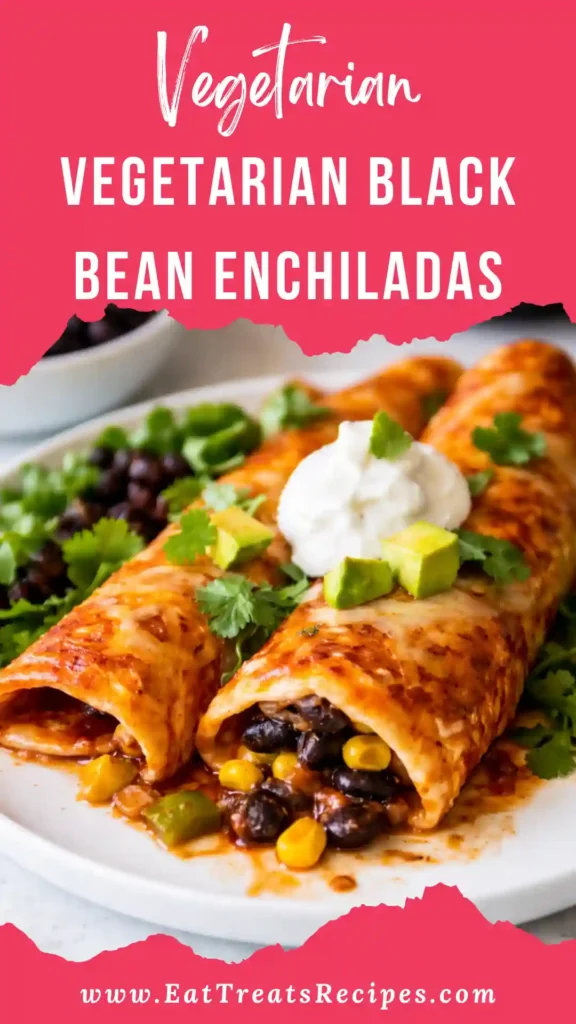 Vegetarian black bean enchiladas with melted cheese and red sauce