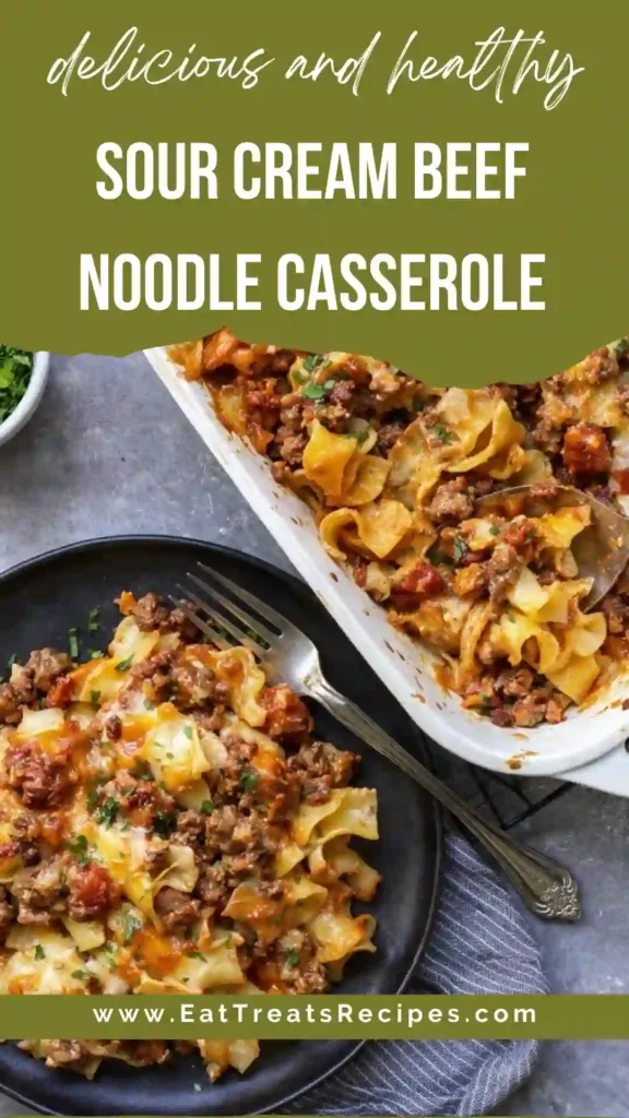 sliced sour cream beef noodle casserole