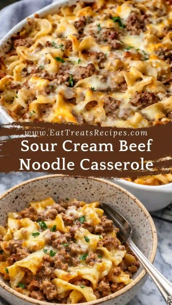 sliced sour cream beef noodle casserole