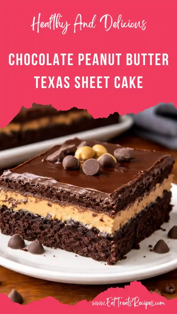 chocolate peanut butter texas sheet cake fudgy moist slice