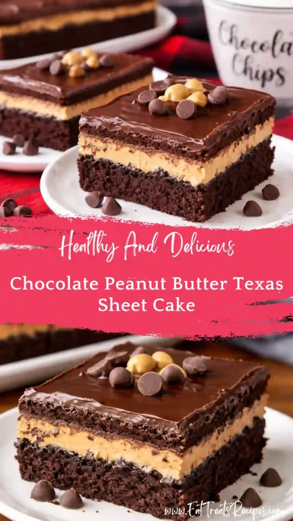 chocolate peanut butter texas sheet cake fudgy moist slice