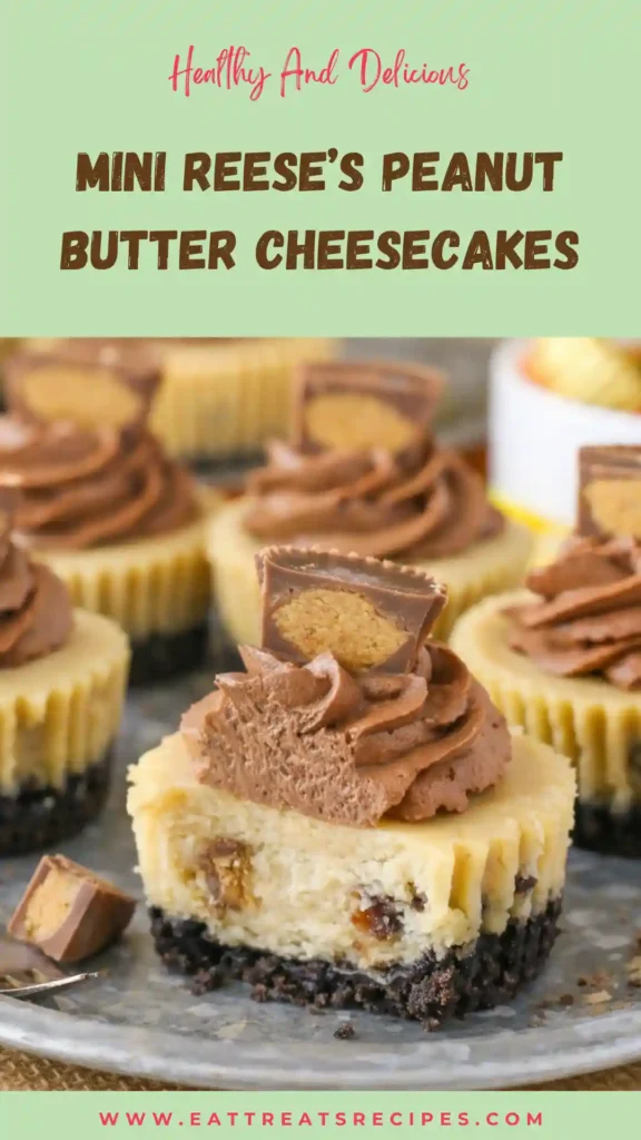 mini reese’s peanut butter cheesecakes creamy chocolate peanut butter dessert